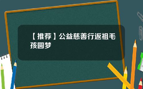 【推荐】公益慈善行返祖毛孩圆梦