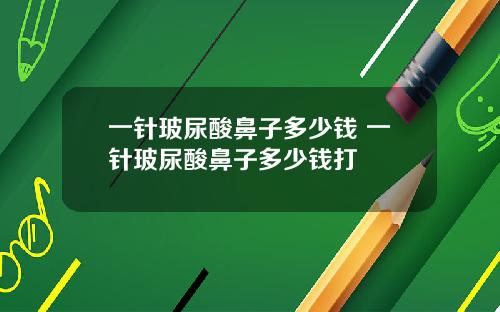 一针玻尿酸鼻子多少钱 一针玻尿酸鼻子多少钱打