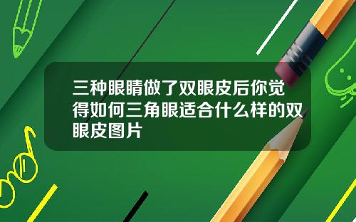 三种眼睛做了双眼皮后你觉得如何三角眼适合什么样的双眼皮图片
