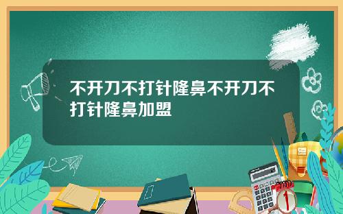 不开刀不打针隆鼻不开刀不打针隆鼻加盟