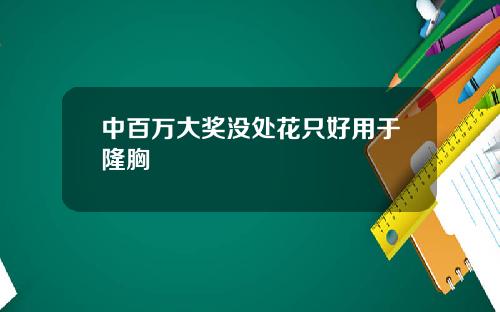 中百万大奖没处花只好用于隆胸