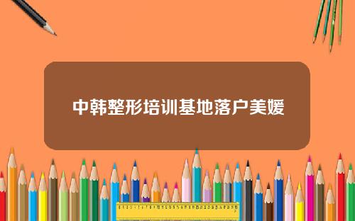 中韩整形培训基地落户美媛