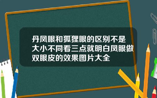 丹凤眼和狐狸眼的区别不是大小不同看三点就明白凤眼做双眼皮的效果图片大全