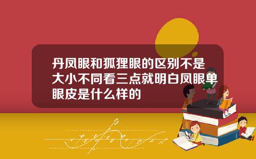 丹凤眼和狐狸眼的区别不是大小不同看三点就明白凤眼单眼皮是什么样的