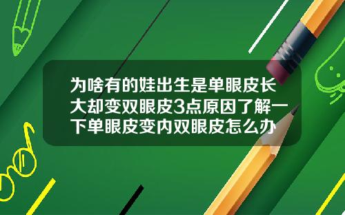 为啥有的娃出生是单眼皮长大却变双眼皮3点原因了解一下单眼皮变内双眼皮怎么办
