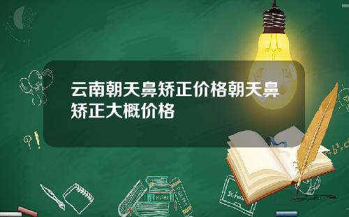 云南朝天鼻矫正价格朝天鼻矫正大概价格