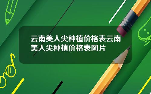 云南美人尖种植价格表云南美人尖种植价格表图片