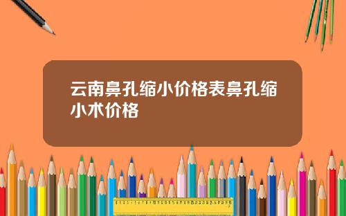 云南鼻孔缩小价格表鼻孔缩小术价格