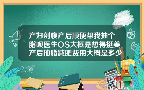 产妇剖腹产后顺便帮我抽个脂呗医生OS大概是想得挺美产后抽脂减肥费用大概是多少啊有便宜的吗