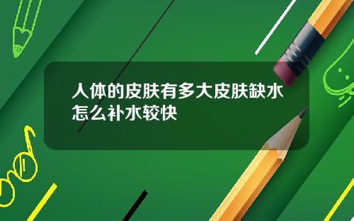 人体的皮肤有多大皮肤缺水怎么补水较快