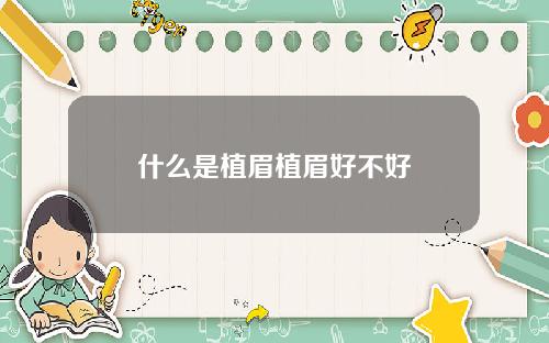 什么是植眉植眉好不好