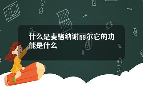 什么是麦格纳谢丽尔它的功能是什么