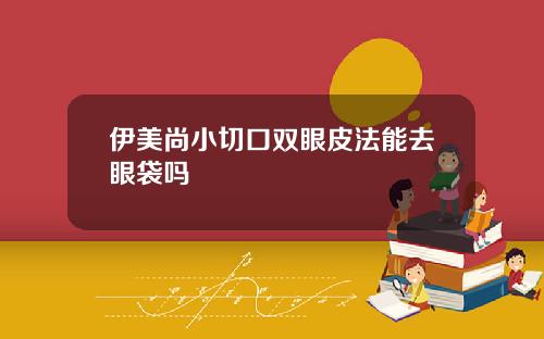 伊美尚小切口双眼皮法能去眼袋吗