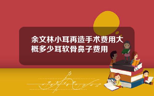余文林小耳再造手术费用大概多少耳软骨鼻子费用