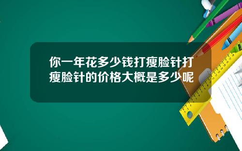 你一年花多少钱打瘦脸针打瘦脸针的价格大概是多少呢