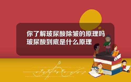 你了解玻尿酸除皱的原理吗玻尿酸到底是什么原理