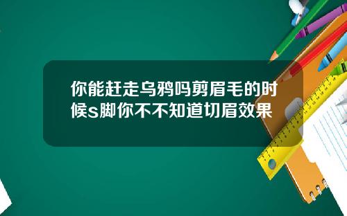 你能赶走乌鸦吗剪眉毛的时候s脚你不不知道切眉效果