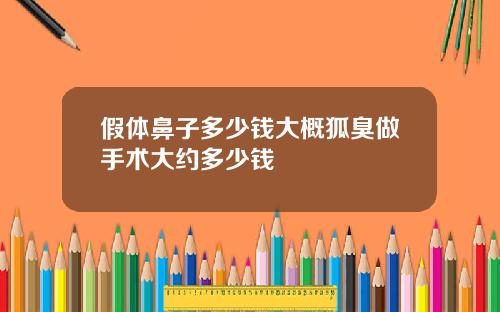 假体鼻子多少钱大概狐臭做手术大约多少钱