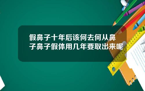 假鼻子十年后该何去何从鼻子鼻子假体用几年要取出来呢
