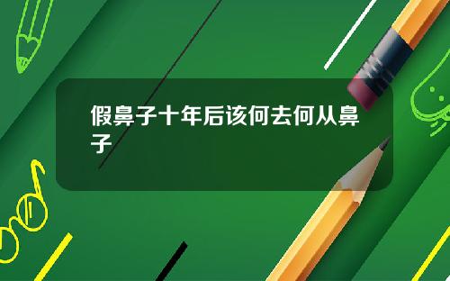 假鼻子十年后该何去何从鼻子