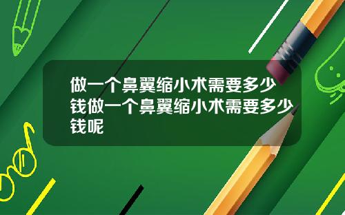 做一个鼻翼缩小术需要多少钱做一个鼻翼缩小术需要多少钱呢