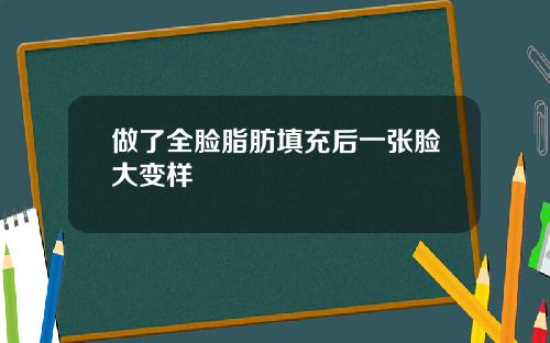 做了全脸脂肪填充后一张脸大变样