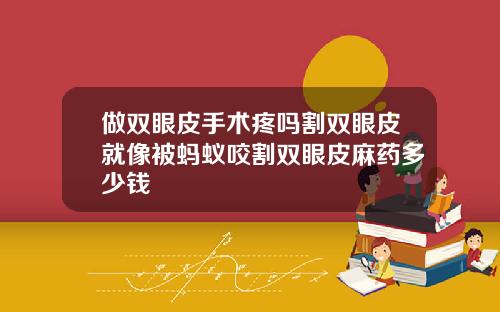 做双眼皮手术疼吗割双眼皮就像被蚂蚁咬割双眼皮麻药多少钱