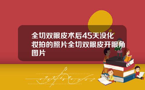 全切双眼皮术后45天没化妆拍的照片全切双眼皮开眼角图片
