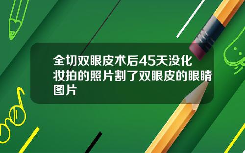 全切双眼皮术后45天没化妆拍的照片割了双眼皮的眼睛图片