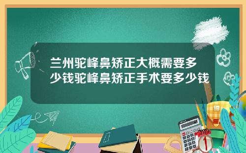 兰州驼峰鼻矫正大概需要多少钱驼峰鼻矫正手术要多少钱
