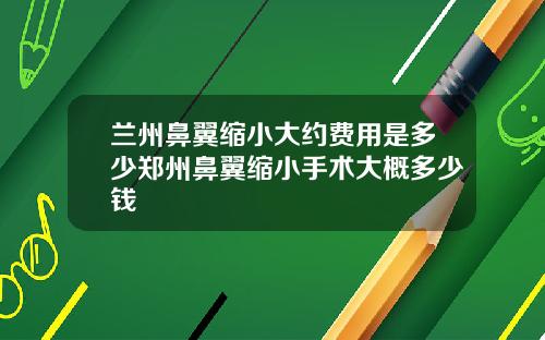 兰州鼻翼缩小大约费用是多少郑州鼻翼缩小手术大概多少钱