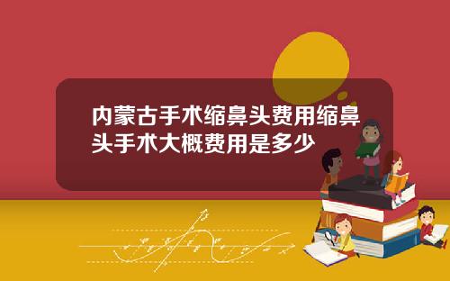 内蒙古手术缩鼻头费用缩鼻头手术大概费用是多少