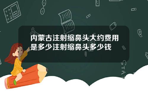 内蒙古注射缩鼻头大约费用是多少注射缩鼻头多少钱