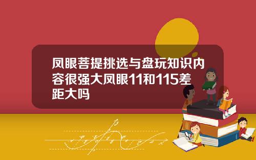 凤眼菩提挑选与盘玩知识内容很强大凤眼11和115差距大吗