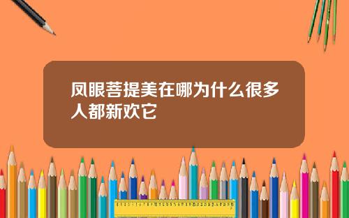 凤眼菩提美在哪为什么很多人都新欢它
