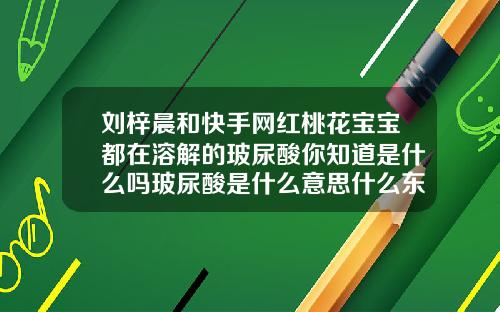 刘梓晨和快手网红桃花宝宝都在溶解的玻尿酸你知道是什么吗玻尿酸是什么意思什么东西