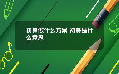 初鼻做什么方案 初鼻是什么意思
