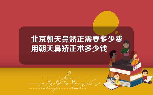北京朝天鼻矫正需要多少费用朝天鼻矫正术多少钱