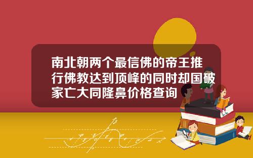 南北朝两个最信佛的帝王推行佛教达到顶峰的同时却国破家亡大同隆鼻价格查询