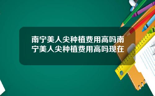 南宁美人尖种植费用高吗南宁美人尖种植费用高吗现在