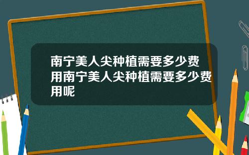 南宁美人尖种植需要多少费用南宁美人尖种植需要多少费用呢