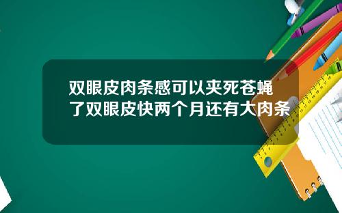 双眼皮肉条感可以夹死苍蝇了双眼皮快两个月还有大肉条
