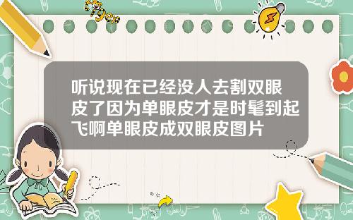 听说现在已经没人去割双眼皮了因为单眼皮才是时髦到起飞啊单眼皮成双眼皮图片
