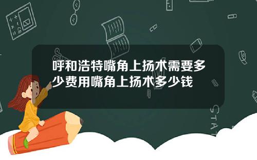呼和浩特嘴角上扬术需要多少费用嘴角上扬术多少钱