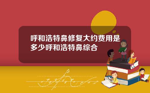 呼和浩特鼻修复大约费用是多少呼和浩特鼻综合