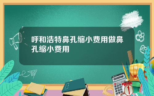 呼和浩特鼻孔缩小费用做鼻孔缩小费用
