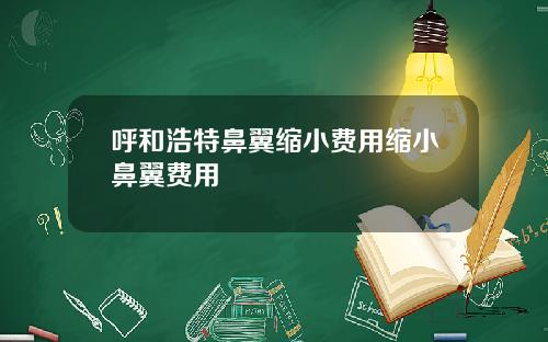呼和浩特鼻翼缩小费用缩小鼻翼费用