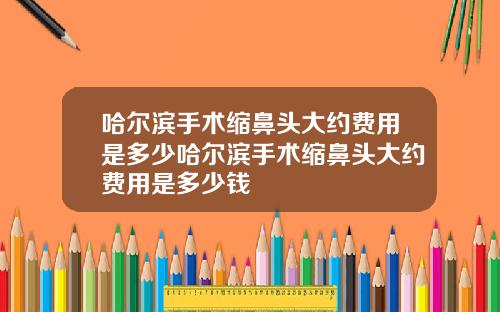 哈尔滨手术缩鼻头大约费用是多少哈尔滨手术缩鼻头大约费用是多少钱