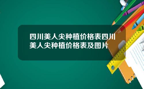四川美人尖种植价格表四川美人尖种植价格表及图片
