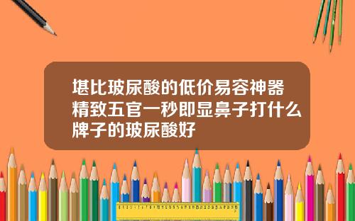 堪比玻尿酸的低价易容神器精致五官一秒即显鼻子打什么牌子的玻尿酸好